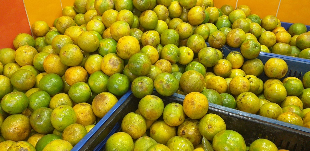 Naranja valencia