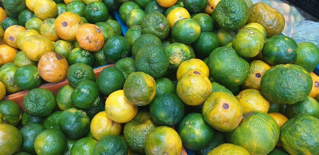 Mandarina oneca
