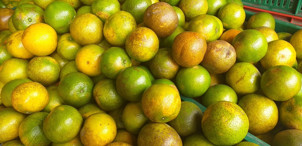 Naranja valencia