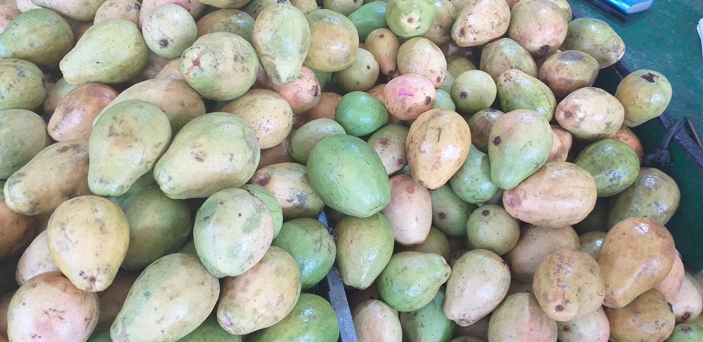 Guayaba pera