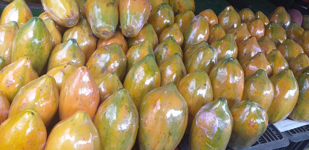 Papaya costeña