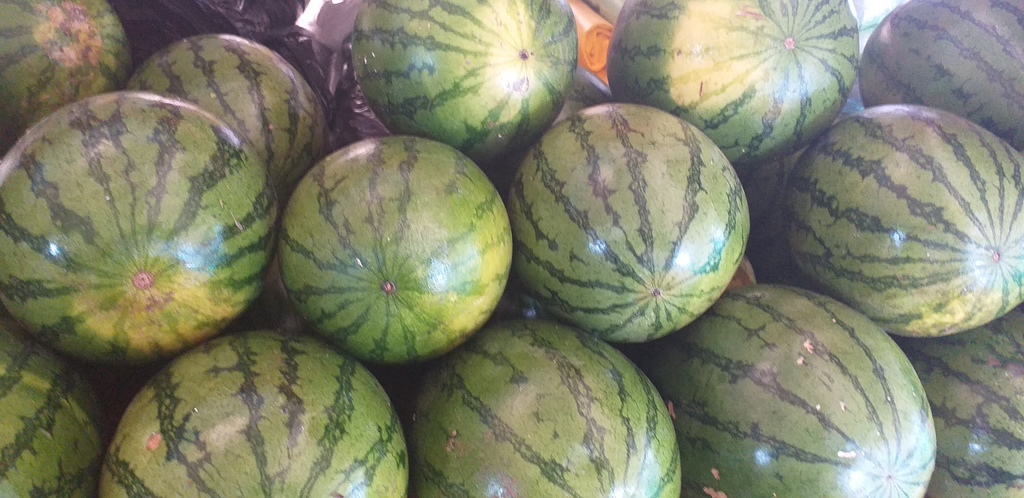 Sandia baby delgada