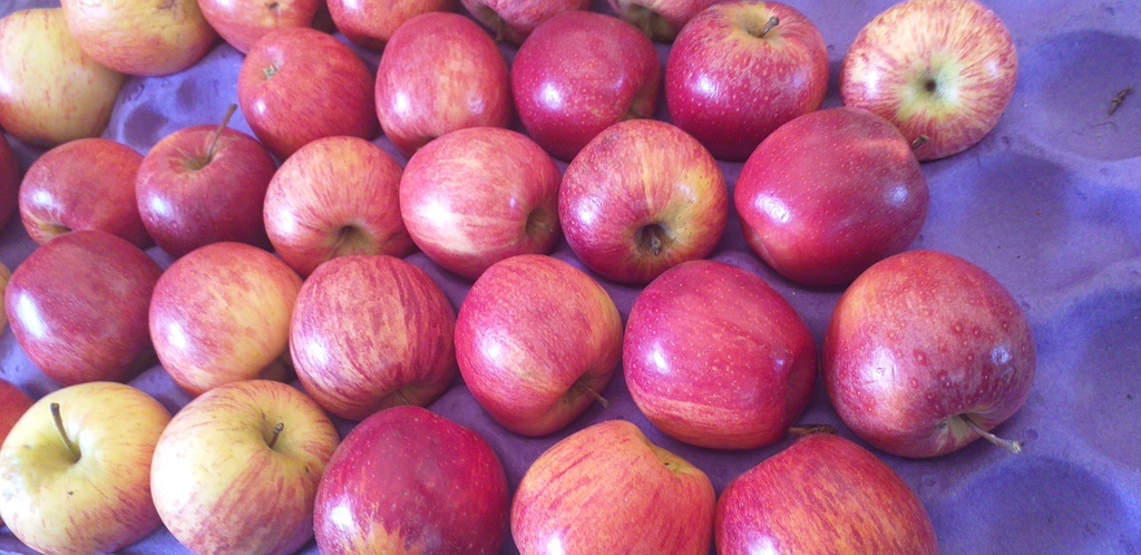 Manzana roja