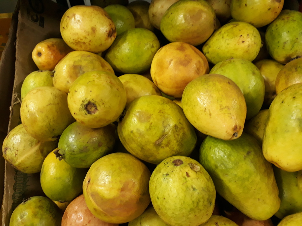 Guayaba dulce