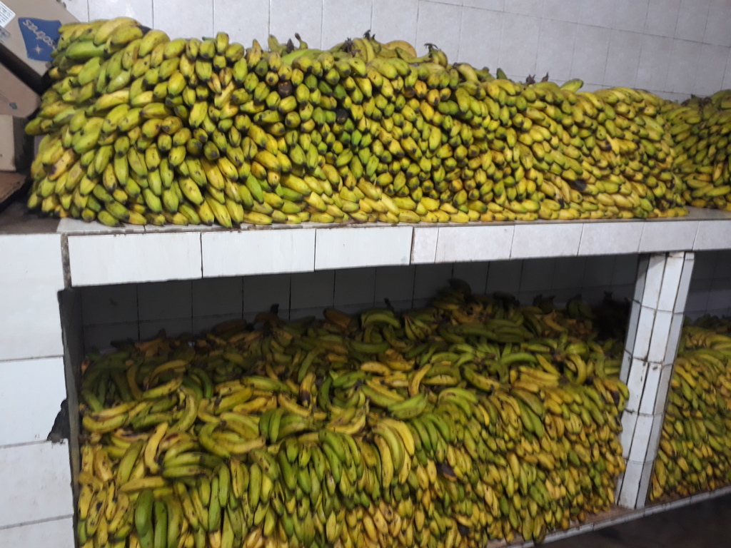 Banano maduro