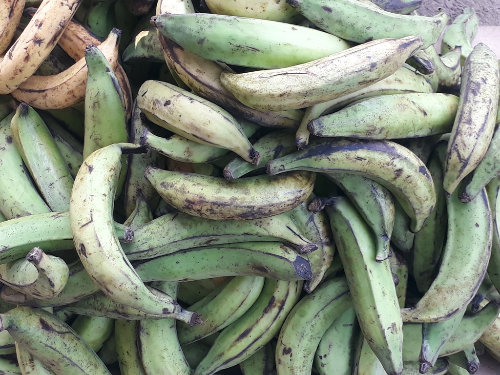 Platano verde de 1ra