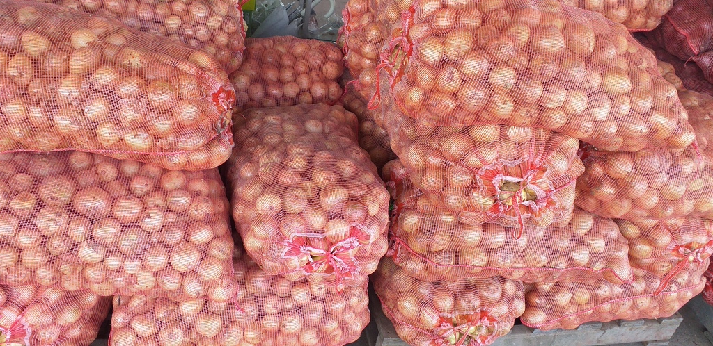 Cebolla blanca *48kg