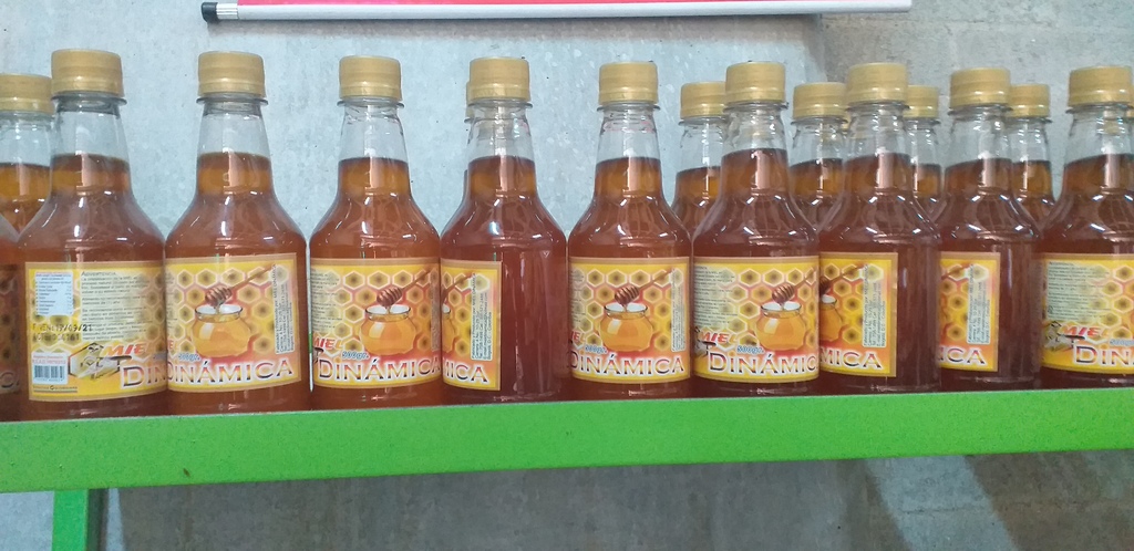 Miel dinamica *500gm
