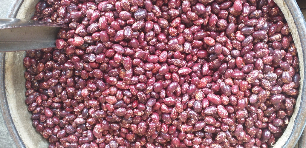 Cargamanto rojo