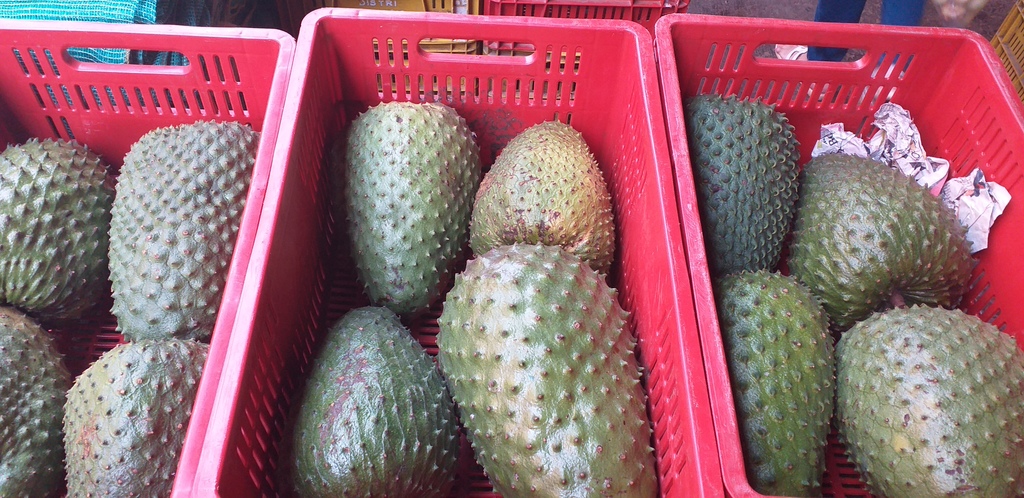 Guanabana