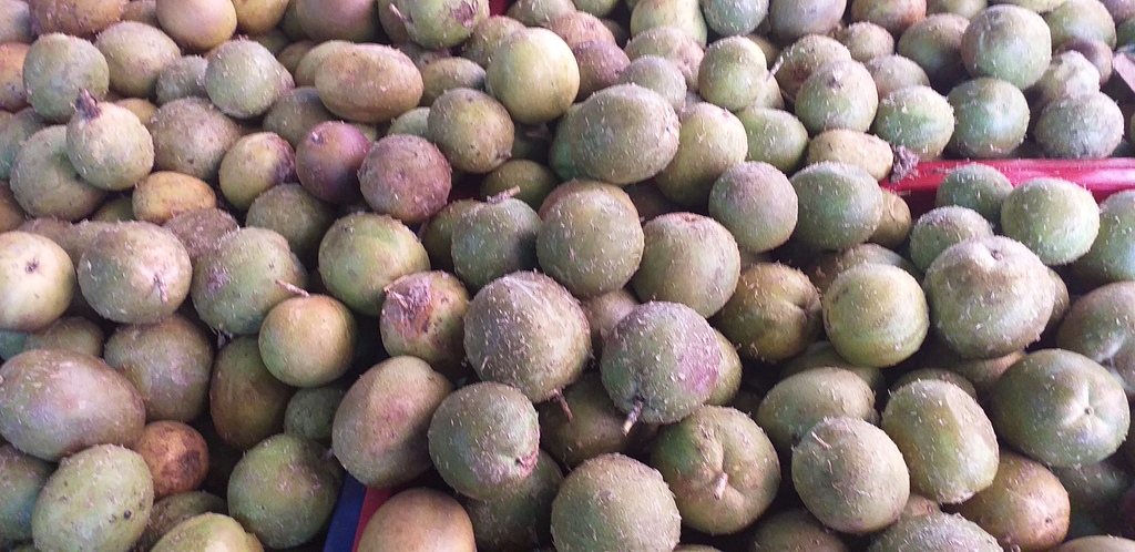 Gulupa