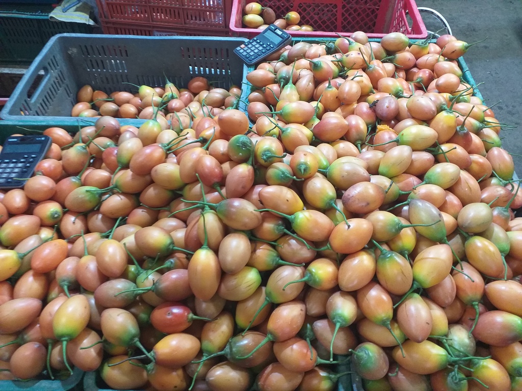 Tomate de arbol segunda