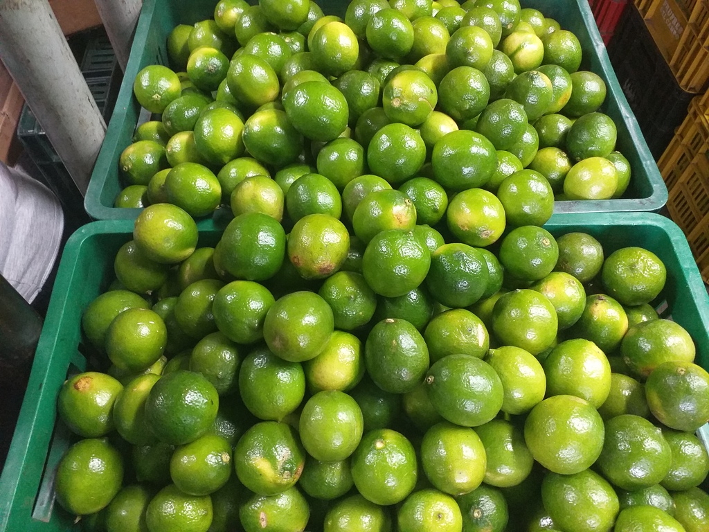 Limon tahiti