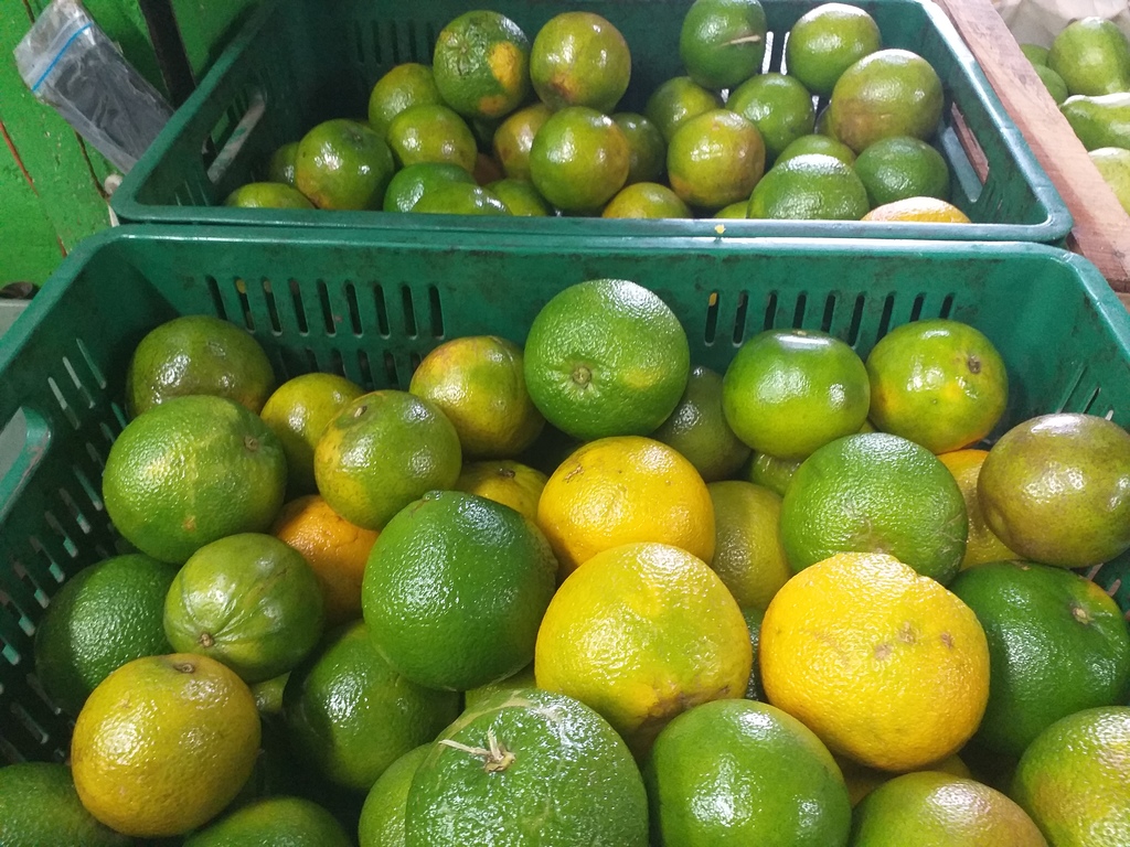 Naranja valencia