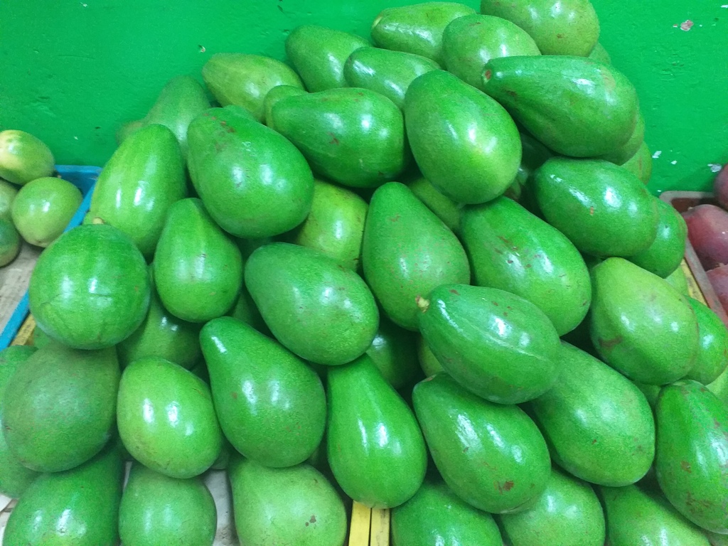 Aguacate papelillo