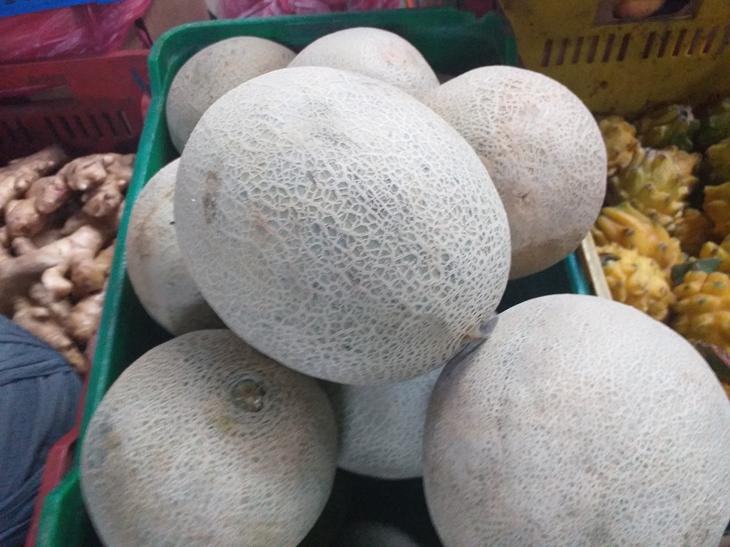 Melon