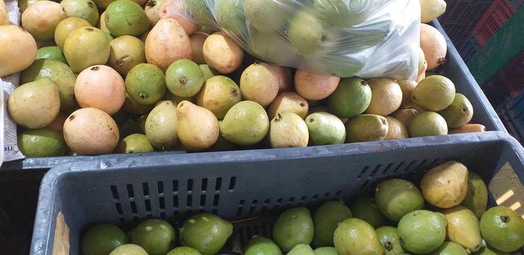 Guayaba pera