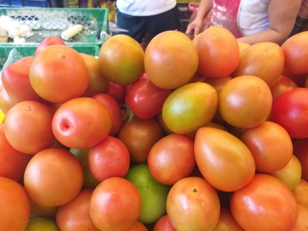 Tomate parejo