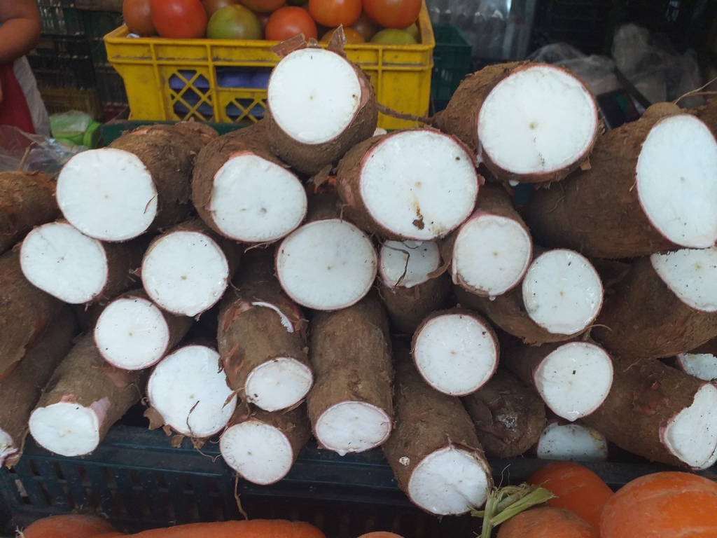 Yuca
