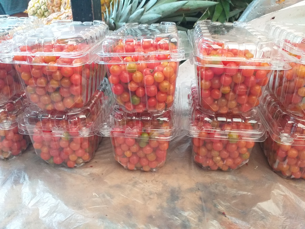 Tomate cherry