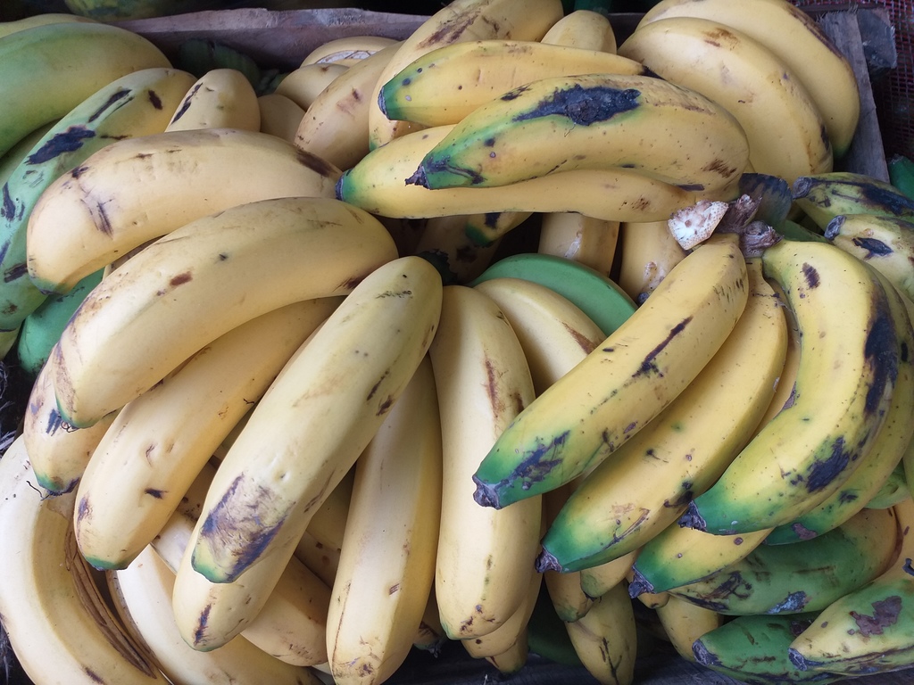 Banano