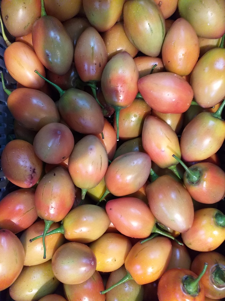 Tomate de arbol grueso