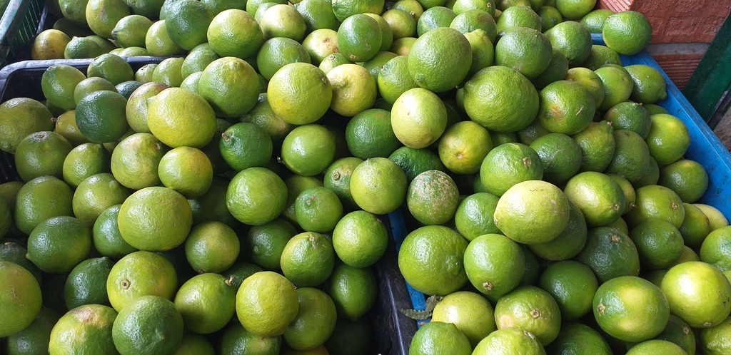 Limon tahiti