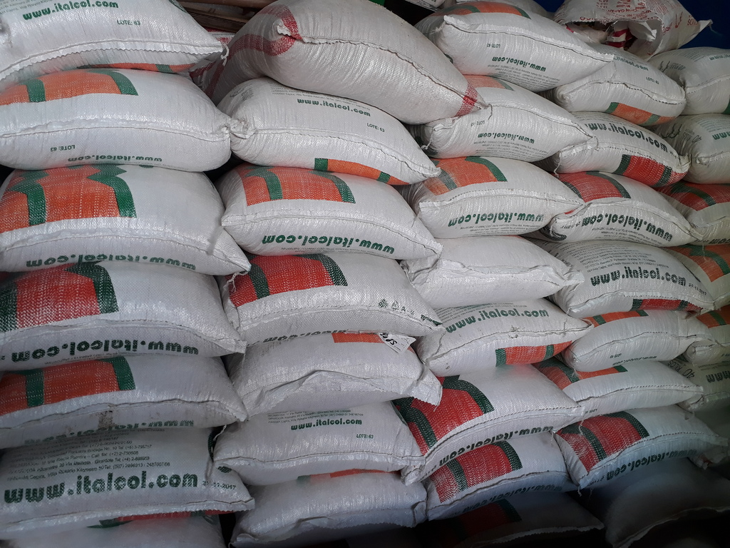 Maiz en cáscara blanco x50kg