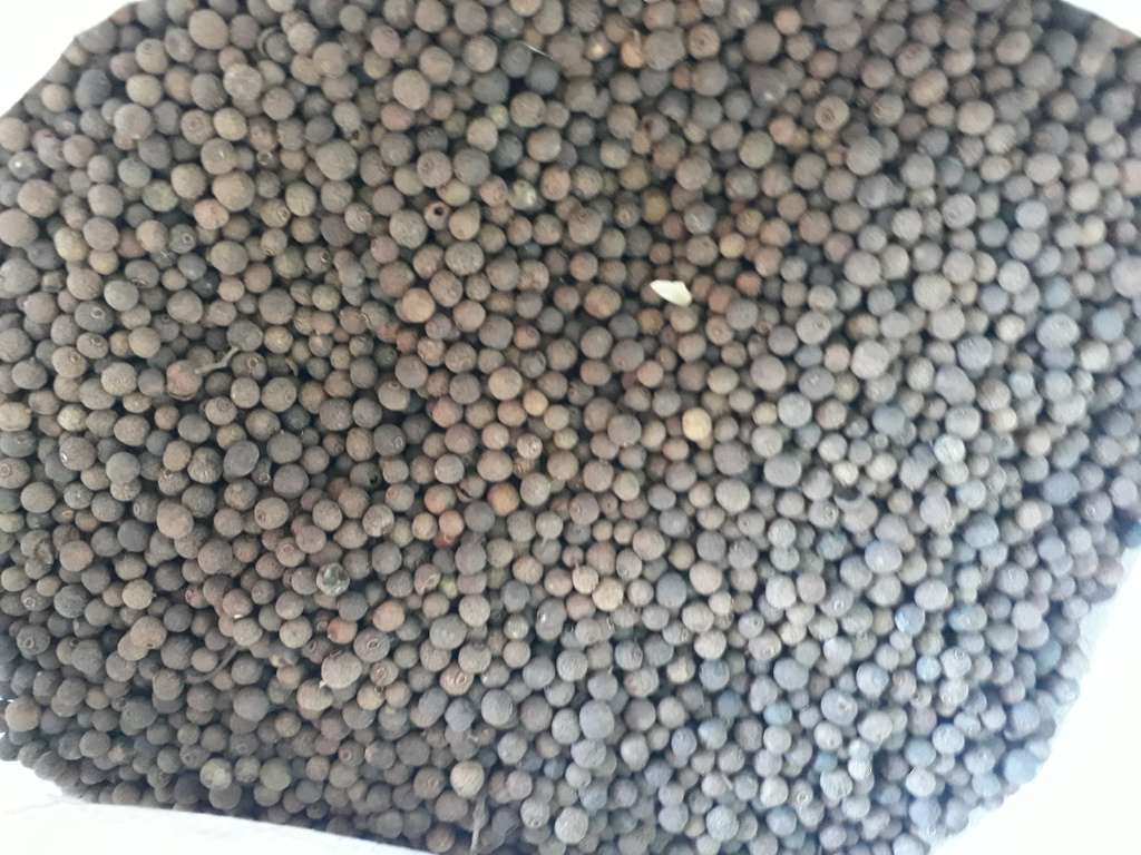 Pimienta de olor