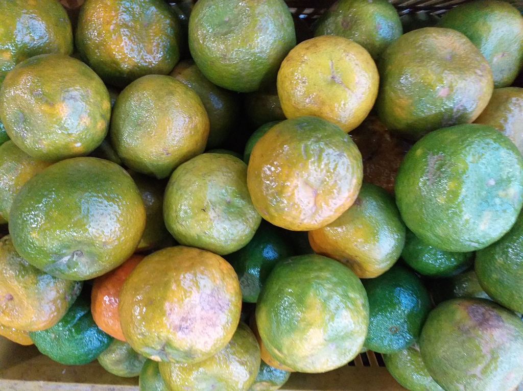 Mandarina