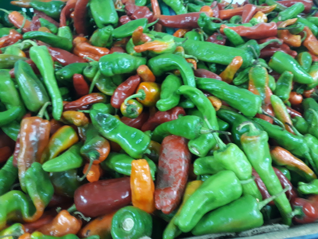 Aji