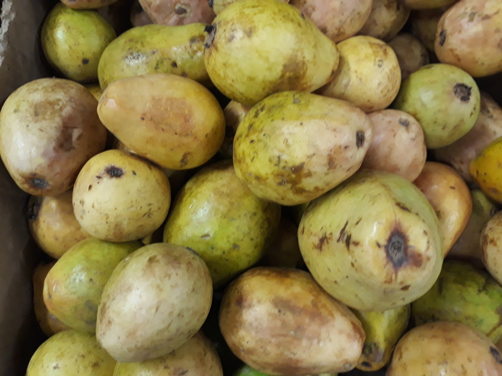 Guayaba dulce