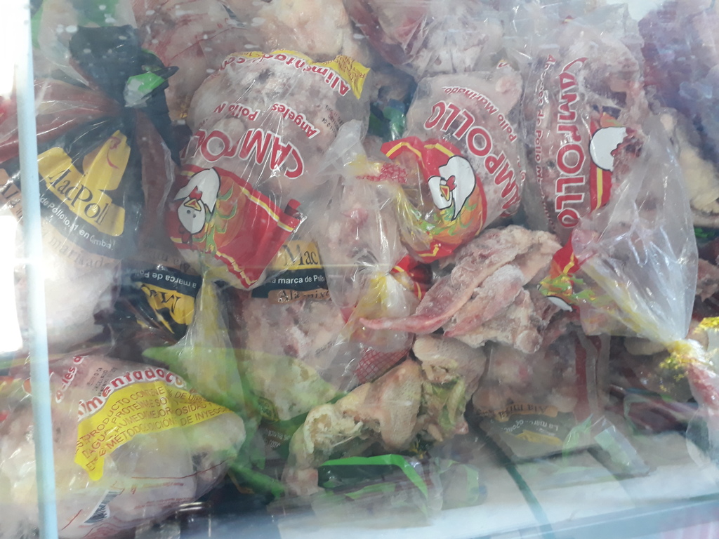 Pollo campollo