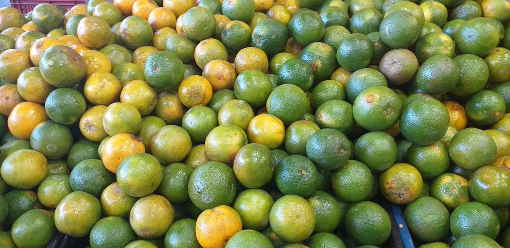 Naranja valencia
