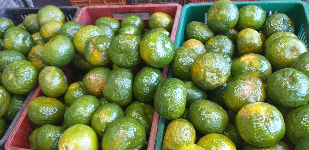Mandarina oneca