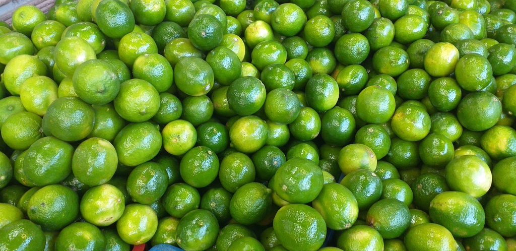 Limon tahiti