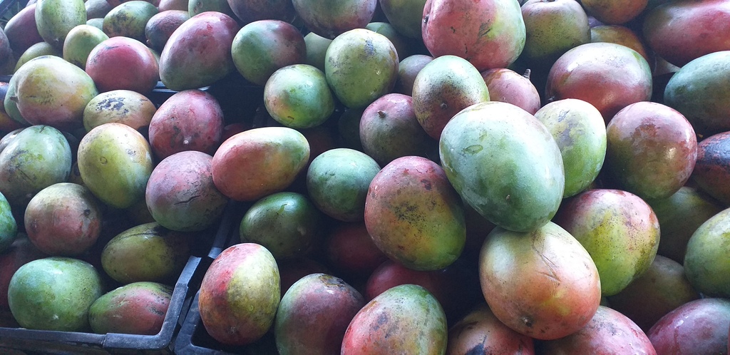 Mango farchi