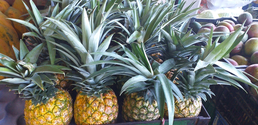 Piña oromiel