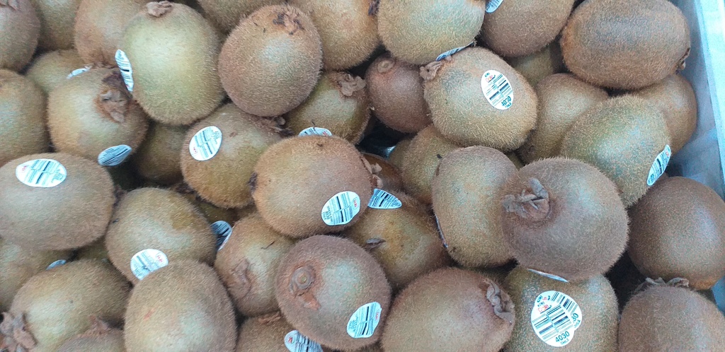 Kiwi