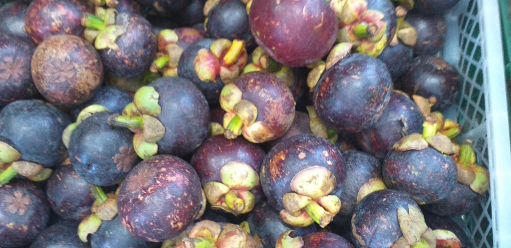 Mangostinos