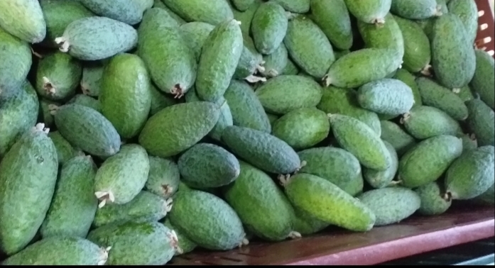 Guayaba feijoa