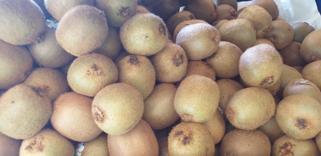 Kiwi
