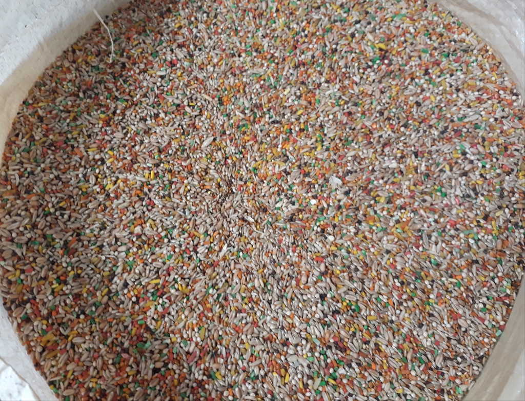 Alpiste vitaminado