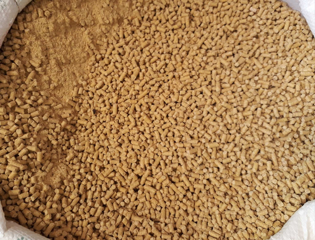 Purina engorde