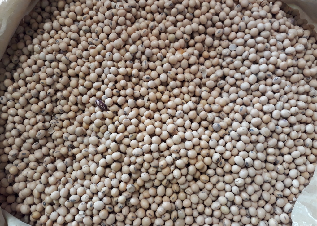 Soya