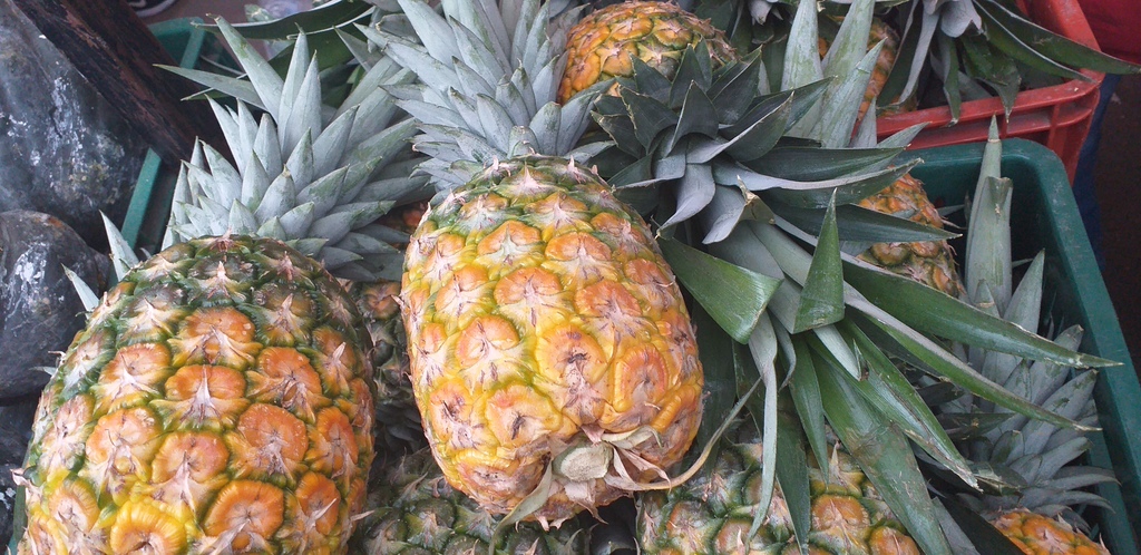Piña oromiel