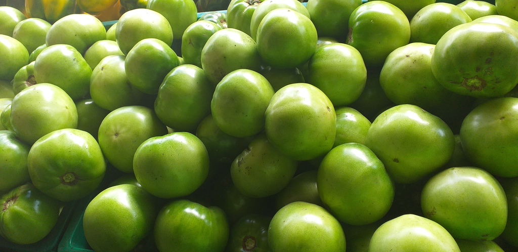 Tomate riñon