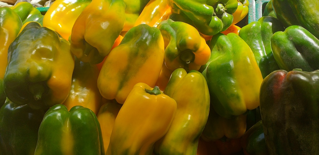 Pimenton amarillo