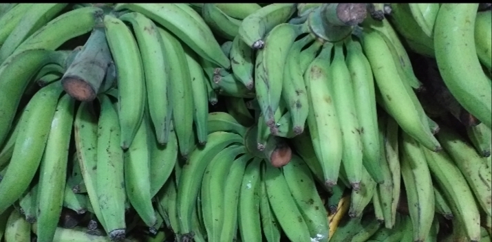 Platano verde