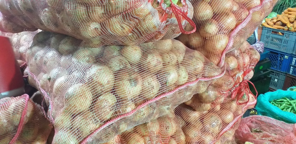 Cebolla blanca